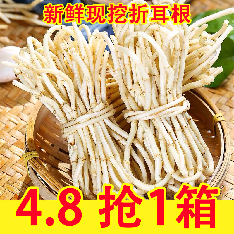 现挖鱼腥草折耳根嫩耳根猪鼻孔凉拌菜农家自种新鲜蔬菜