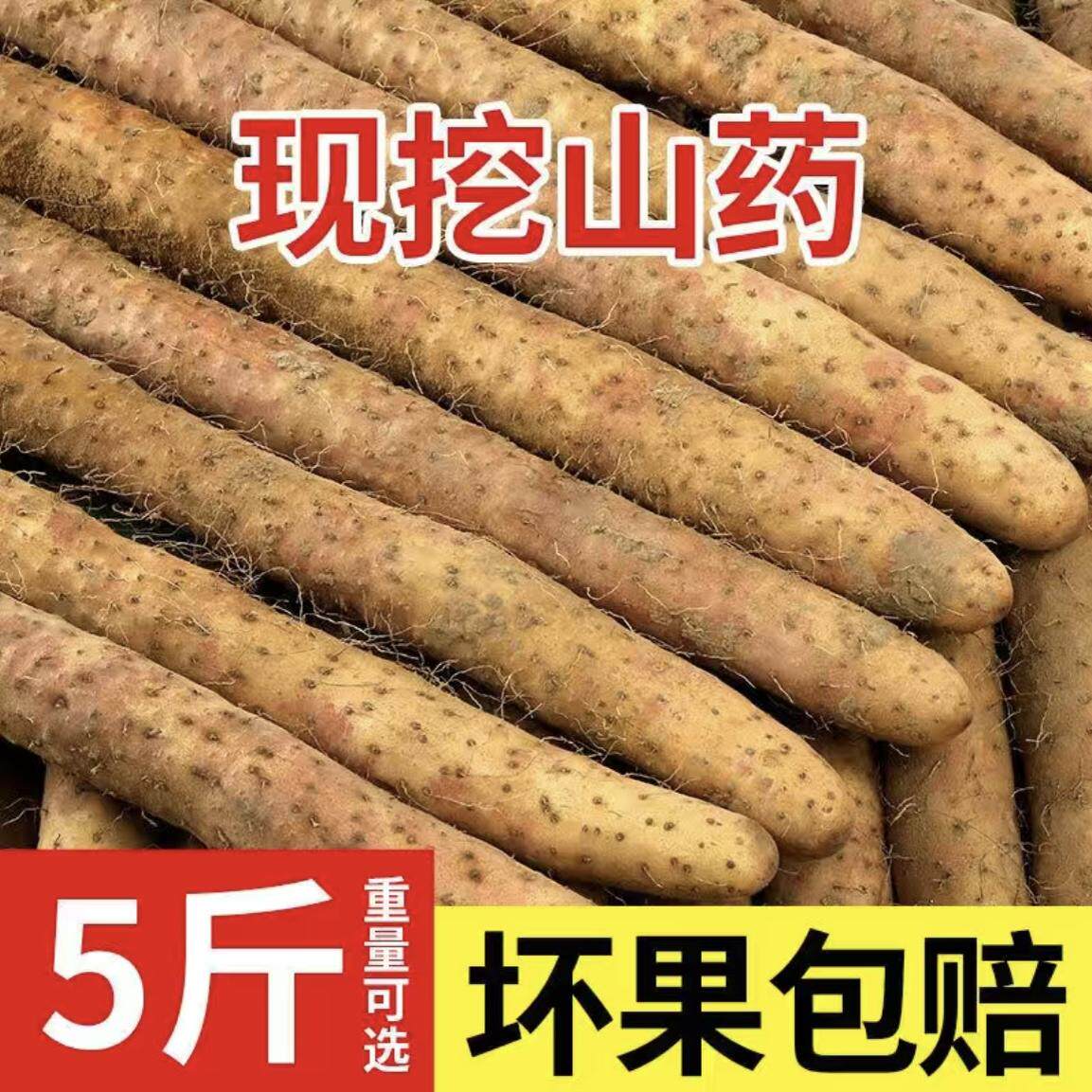 小白嘴山药新鲜5斤蔬菜官方旗舰店铁杆淮山铁棍山药10非温县垆土