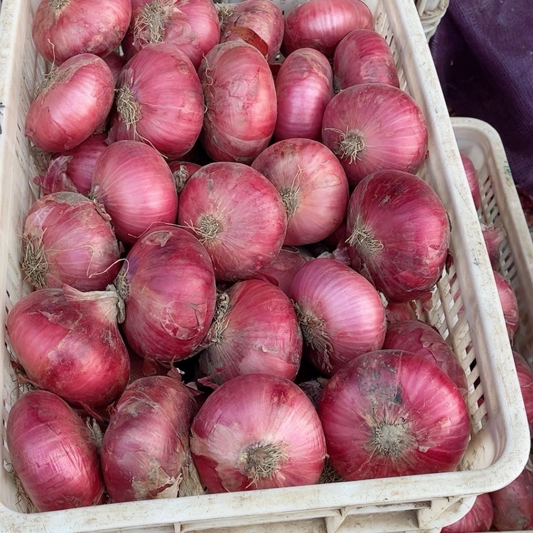 紫皮洋葱新鲜9斤小圆葱甜洋葱当季蔬菜紫皮特产农家自种现挖,水产肉类/新鲜蔬果/熟食,洋葱/红葱头,淘宝优惠券,粉丝福利购,淘宝优惠卷