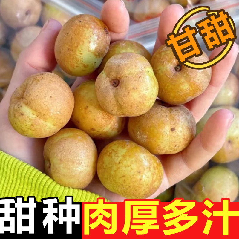 新鲜油甘果5斤余甘果牛甘子当季现摘油柑滇橄榄孕妇酸甜水果包邮3