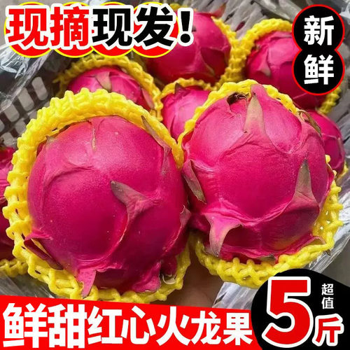 新鲜红心火龙果树上熟现摘金都5斤红肉火龙果当季水果整箱5斤包邮