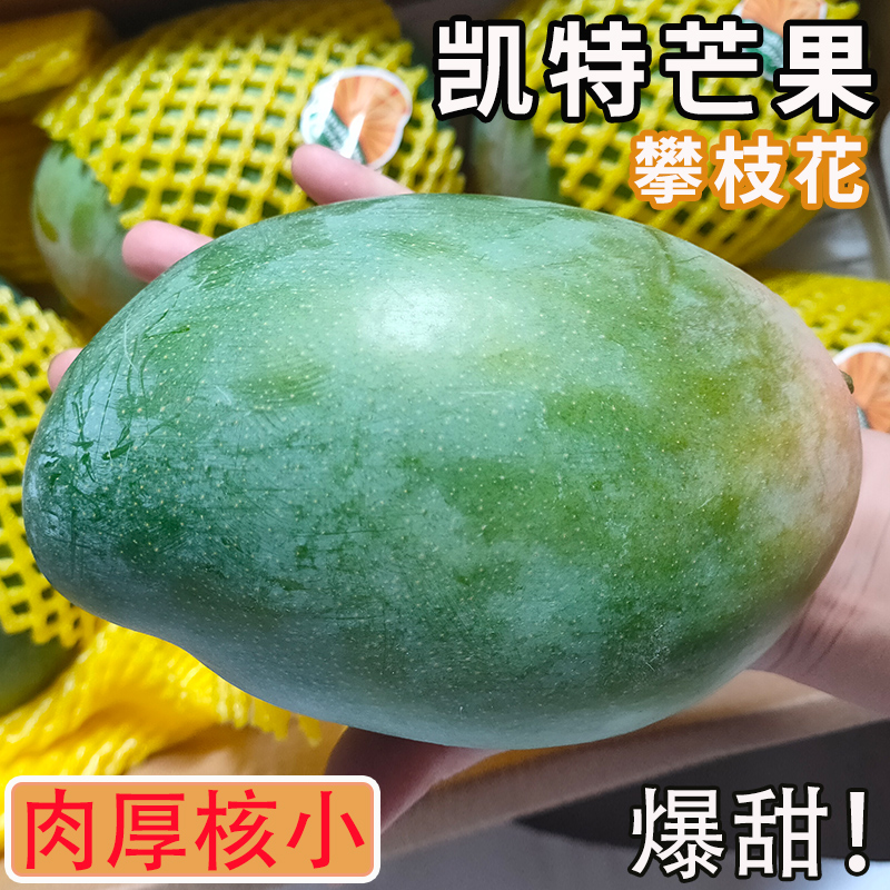 四川攀枝花青皮凯特芒果新鲜水果当季整箱特大凯特芒鲜果大芒果