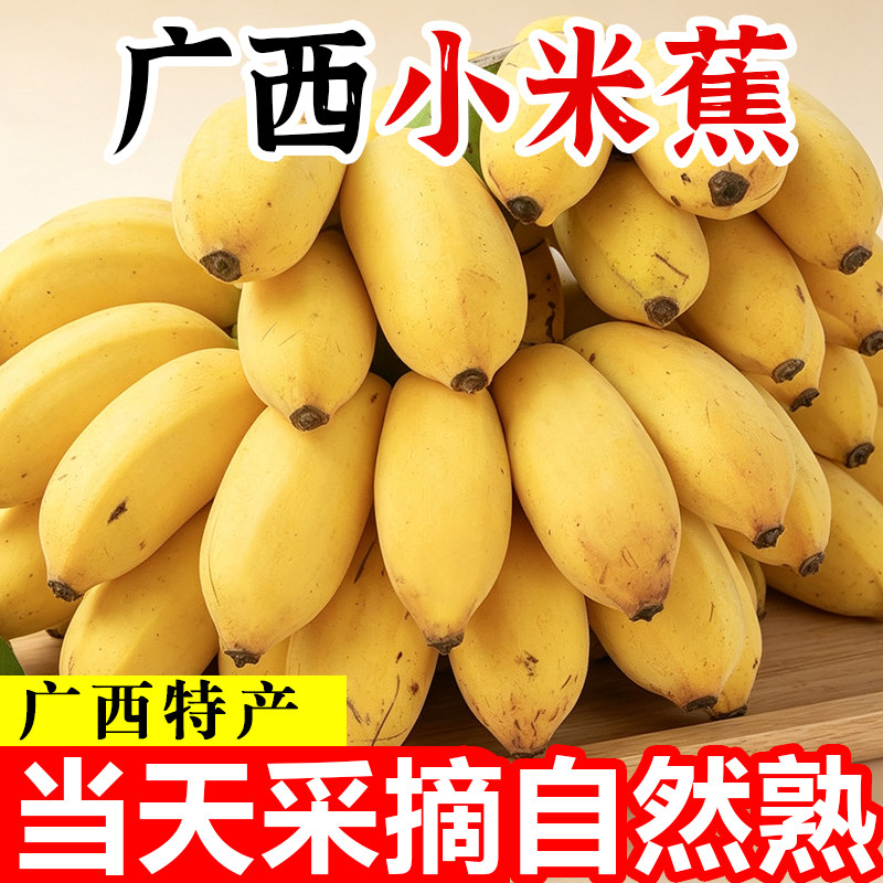 广西小米蕉新鲜水果香蕉包邮小米蕉芭蕉苹果蕉粉蕉自然熟当季整箱