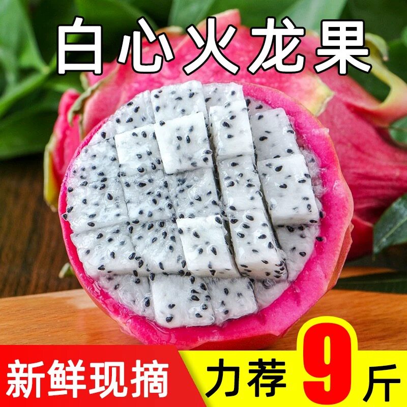 白心火龙果云南高山现摘当季新鲜水果香甜多汁大果产地热带采摘