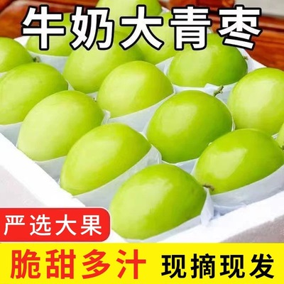 牛奶大青枣新鲜枣子贵妃枣冬福建时令水果当季整箱奶油苹果蜜脆枣