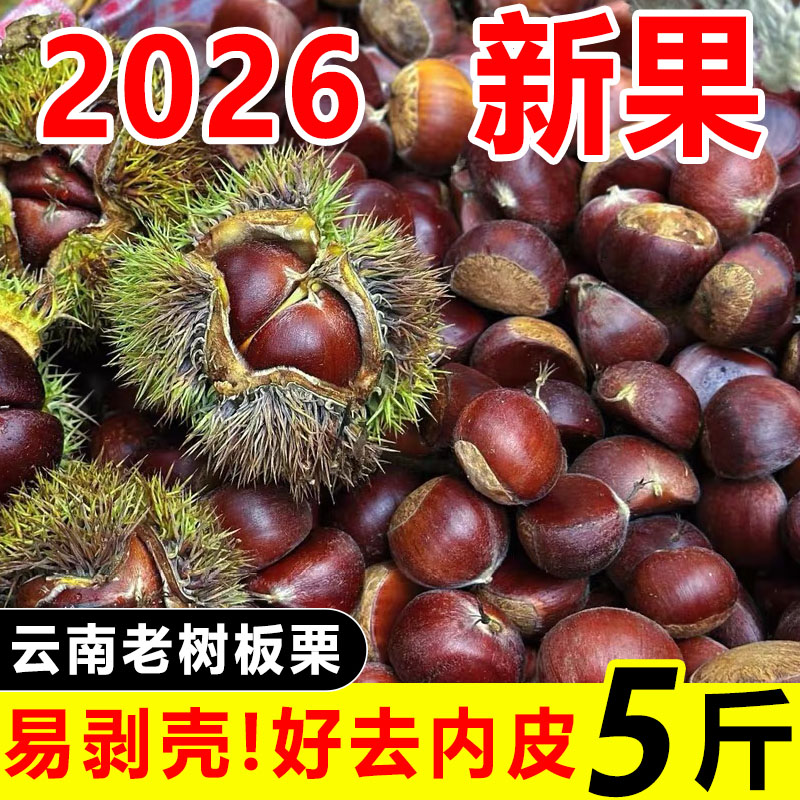 板栗2026新货云南新鲜生迁西小板栗子农家自种高山正宗油板栗现货
