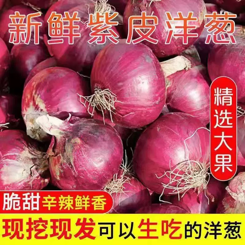 水果洋葱甜味生吃新鲜蔬菜不辣红皮大圆葱头批发整箱包邮云南正宗
