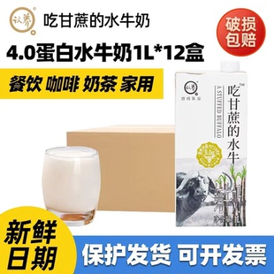 悠纯认养吃甘蔗的水牛奶1L奶茶店专用纯牛奶饮品甜品餐饮店水牛乳