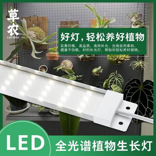草农LED植物补光灯仿太阳全光谱热植块根蝴蝶兰鹿角蕨多肉生长灯