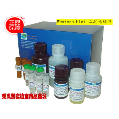 Western blot 二抗稀释液 50ml/100ml