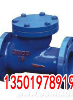 HQ41X-16无磨损污水滑道滚球式球形型止回阀DN150 100R 125 200 5