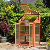 亚马逊暖房木制花园暖房种菜温室木棚小日光房绿植