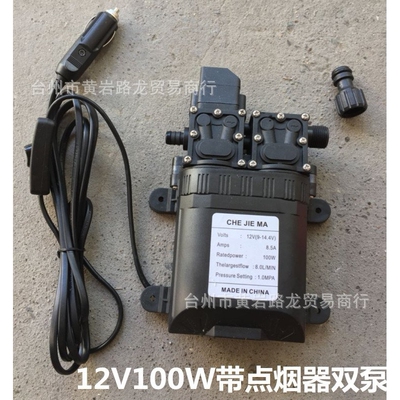 12V水泵 洗车器双泵 自吸泵 大功率带点烟器水泵 多功能水泵