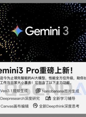 【Gemini3pro ！稳定不降智】Gemini pro3.1 3.0个人独立会员代充