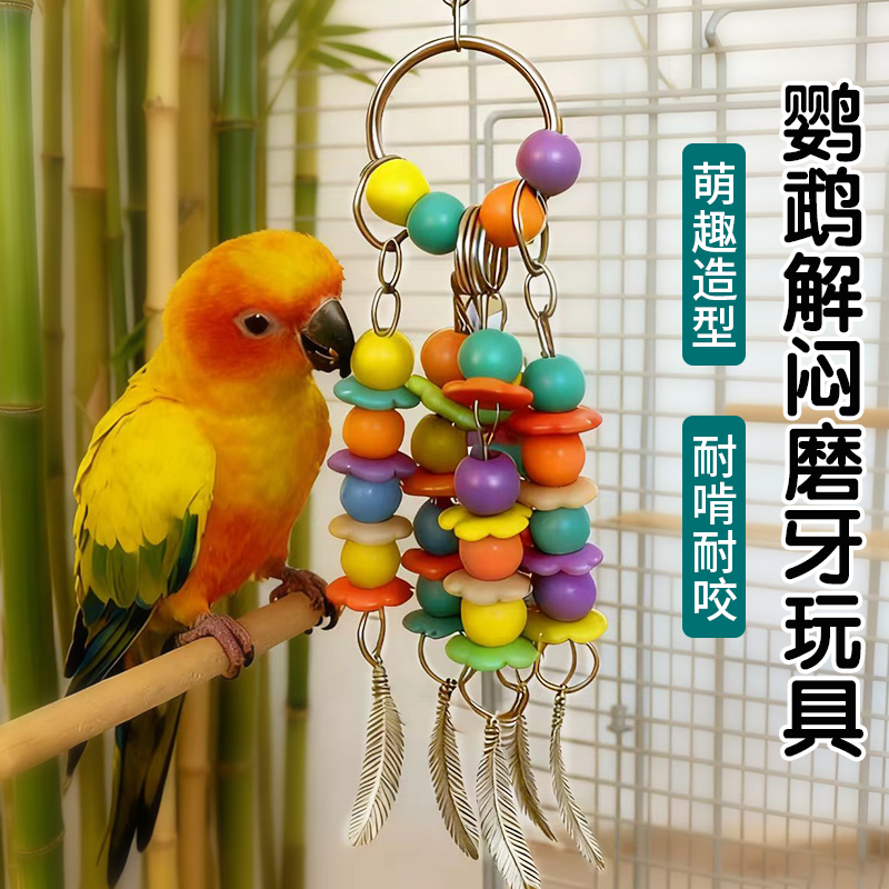 鹦鹉啃咬玩具解闷玩具