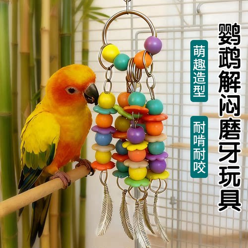 鹦鹉啃咬玩具解闷玩具