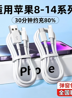 安诗登适用iPhone16数据线15pro/14苹果13充电线12器PD30W手机11/XR快充8p车载iPad平板闪充原7plus装快充线