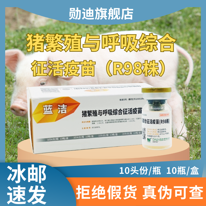 猪用疫苗中牧猪蓝耳病猪繁殖与呼吸综合征活疫苗母猪流产蓝耳疫苗