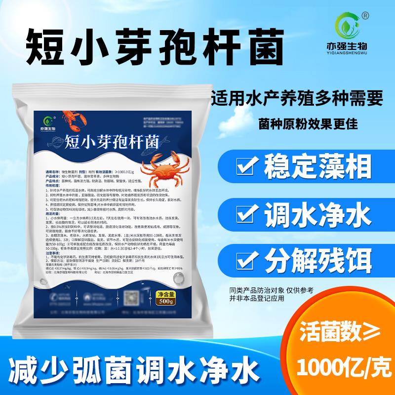 1000亿/克短小芽孢杆菌水产养殖用菌低温环境污水处理净水厂家直