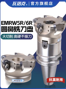 数控铣刀盘加硬白色1204刀片加工中心R6开粗R5圆鼻面铣刀盘毛刀头