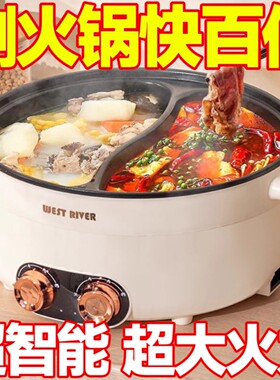德国正品新款鸳鸯电火锅家用多功能一体式双控鸳鸯锅大功率电热锅