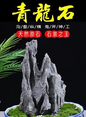 青龙石一物一拍造景石原石成品鱼缸假山草缸玄关中式石头奇石摆件