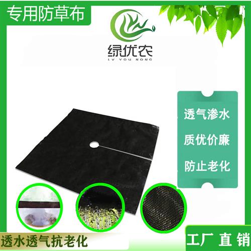 三到五年编织果园防草布保温保湿透水透气抗老化防草布厂家直发
