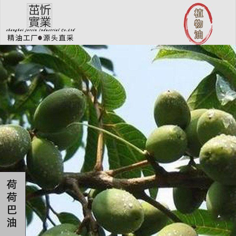 精油紧致以色列荷荷巴油口红植物油基底巴油法国原料油供应霍霍,美容护肤/美体/精油,基底精油,淘宝优惠券,粉丝福利购,淘宝优惠卷