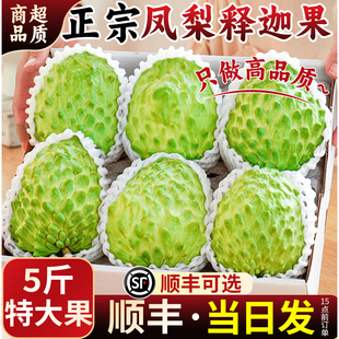 新鲜凤梨释迦果顺丰番荔枝大目牛奶佛头果林檎摩尼果当季水果整箱
