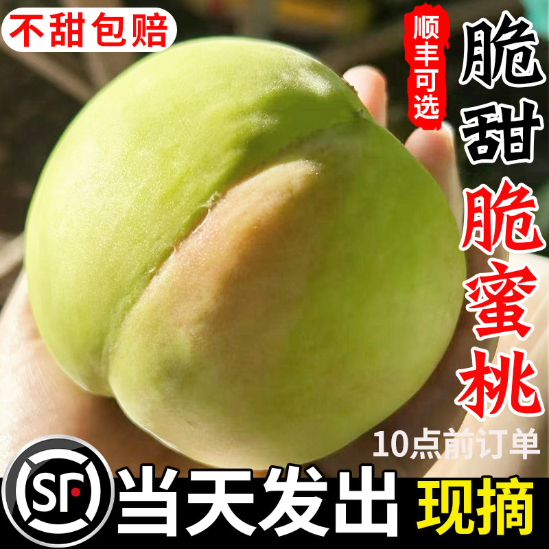 青桃脆桃中华脆蜜桃鹰嘴桃现摘图片