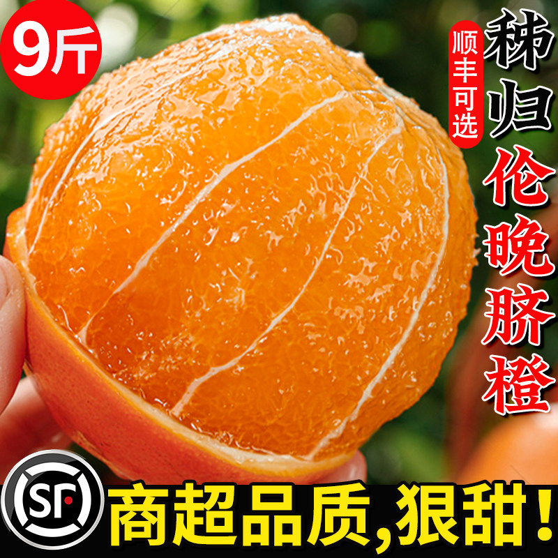 正宗湖北秭归伦晚脐橙旗官方旗舰店新鲜水果甜现摘橙子手剥春橙