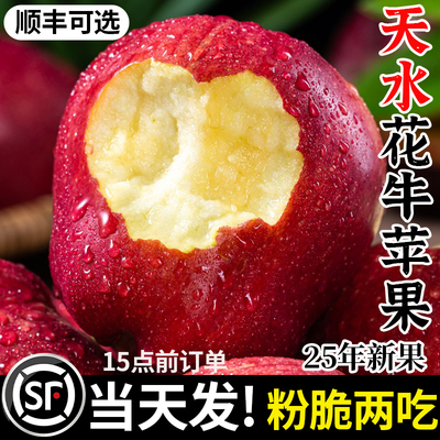 25年花牛苹果粉脆两吃