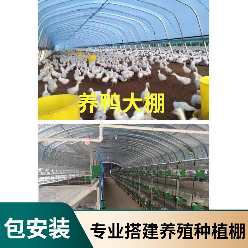 速发养殖大棚骨架鸡套养全支菜园薄膜温室小棚鸭架牛羊养猪棚鸡棚