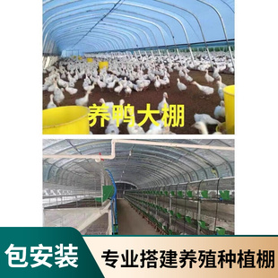 速发养殖大棚骨架鸡套养全支菜园薄膜温室小棚鸭架牛羊养猪棚鸡棚