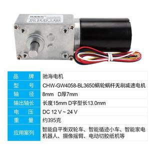 驰海厂家直销W4058BL3G磁650永无自刷涡轮蜗杆锁减速ZOF电机12V24