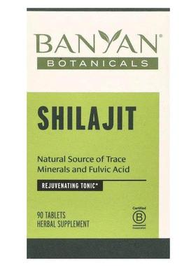 Banyan Botanicals,Shilajit, 90 Tablets