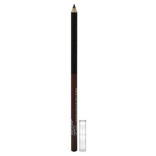 0.04 ColorIcon 666 Brandy Liner wild Lip wet Wine