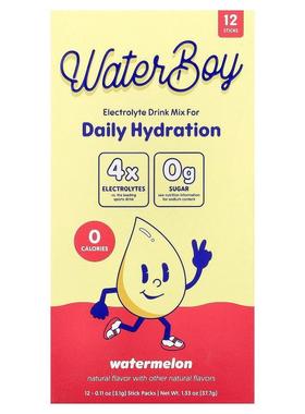Waterboy,Daily Hydration, Electrolyte Drink Mix, Watermelon