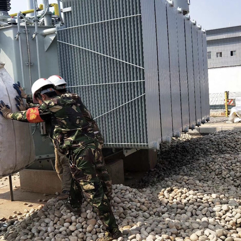 辽宁河卵石庭院鱼缸大号天然彩色软暖石子造景铺地步道原石鹅软石 鲜花速递/花卉仿真/绿植园艺 其它园艺用品 原图主图