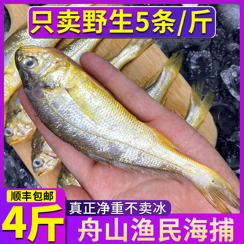 小黄鱼新鲜冷冻整箱商用真正舟山海捕黄鱼鲜活小黄花鱼4斤装烧烤,水产肉类/新鲜蔬果/熟食,黄鱼,淘宝优惠券,粉丝福利购,淘宝优惠卷