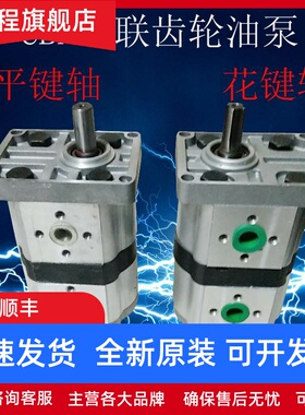 双联齿轮泵CBN-F314/F314-CLP CBN-F310/F306 F312 CBW-F304/F308