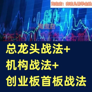 2020年总龙头校尉 总龙头战法+机构战法+创业板首板战法学习课程