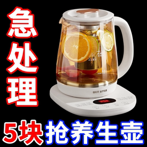 特价养生壶全自动加厚玻璃烧水花茶壶多功能电热水壶煮茶器煎药壶