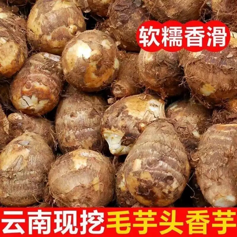 正宗牛奶小芋头新鲜现挖粉糯红毛芋头芋艿香芋应季蔬菜农家自种