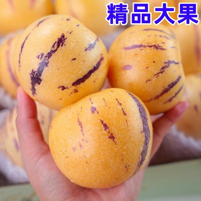石林人参果云南10斤圆果当季新鲜孕妇水果黄肉人生果整箱大果包邮