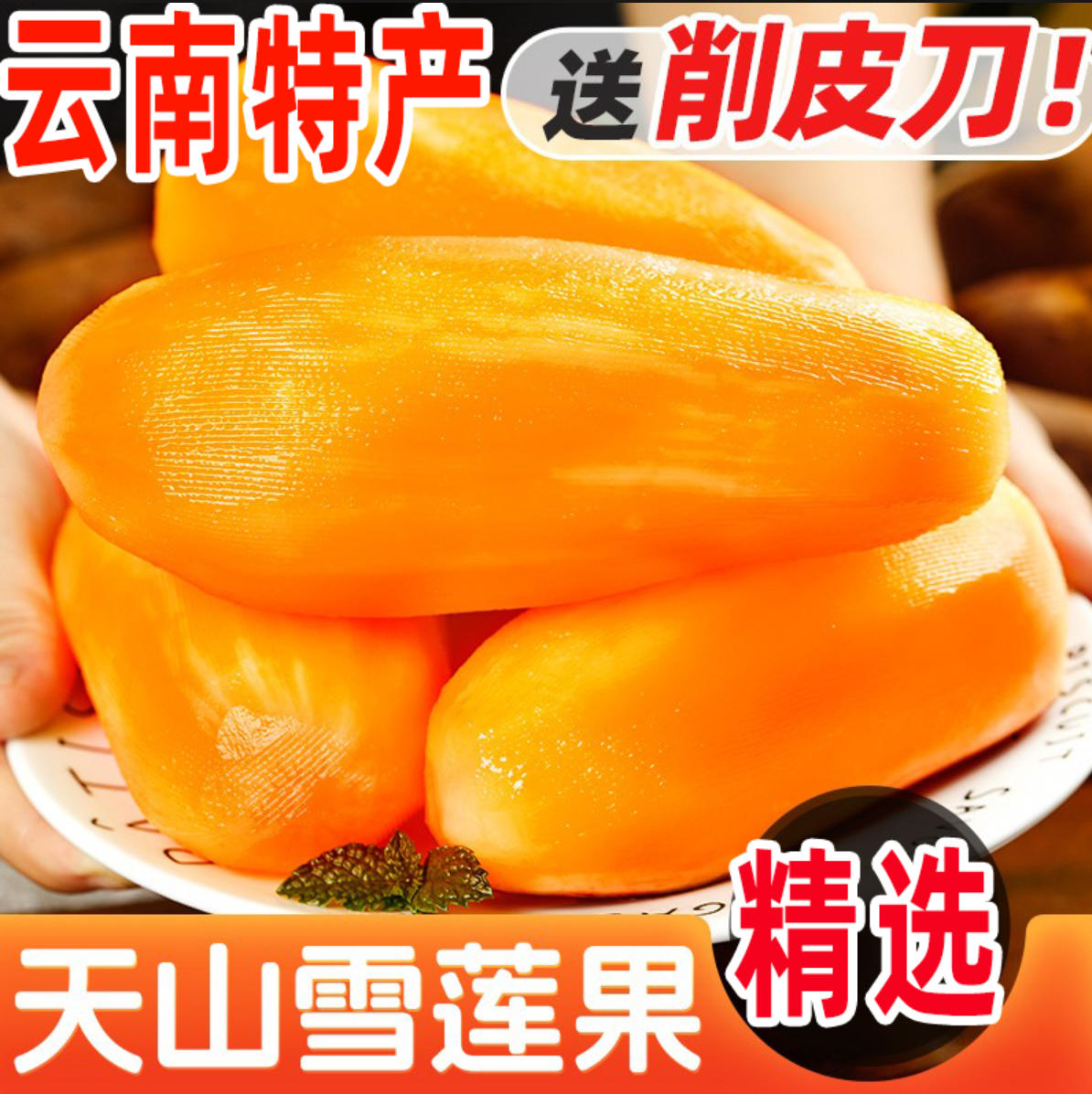 正宗云南黄心雪莲果新鲜现挖5斤特一级整箱当季水果黄天山雪莲果