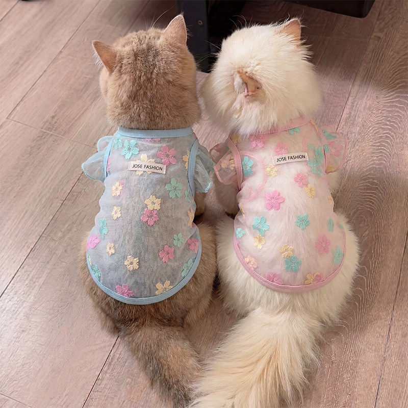 猫咪衣服防掉毛夏季薄款背心小狗防晒衣透气德文无毛猫布偶猫衣服
