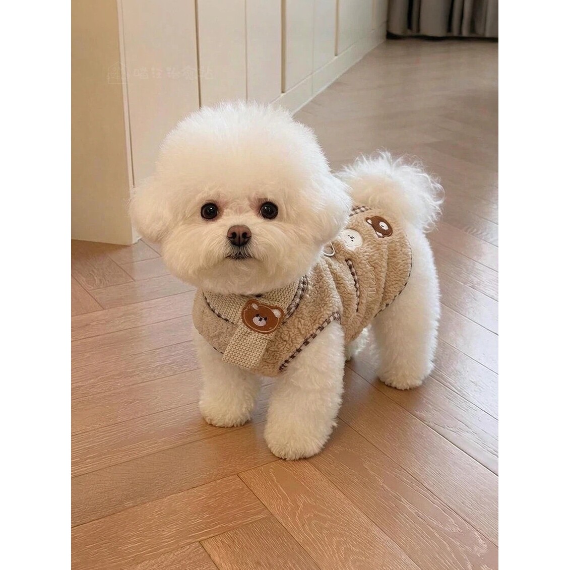 狗狗衣服秋冬装宠物背心加厚保暖比熊雪纳瑞小型犬猫咪衣服防掉毛
