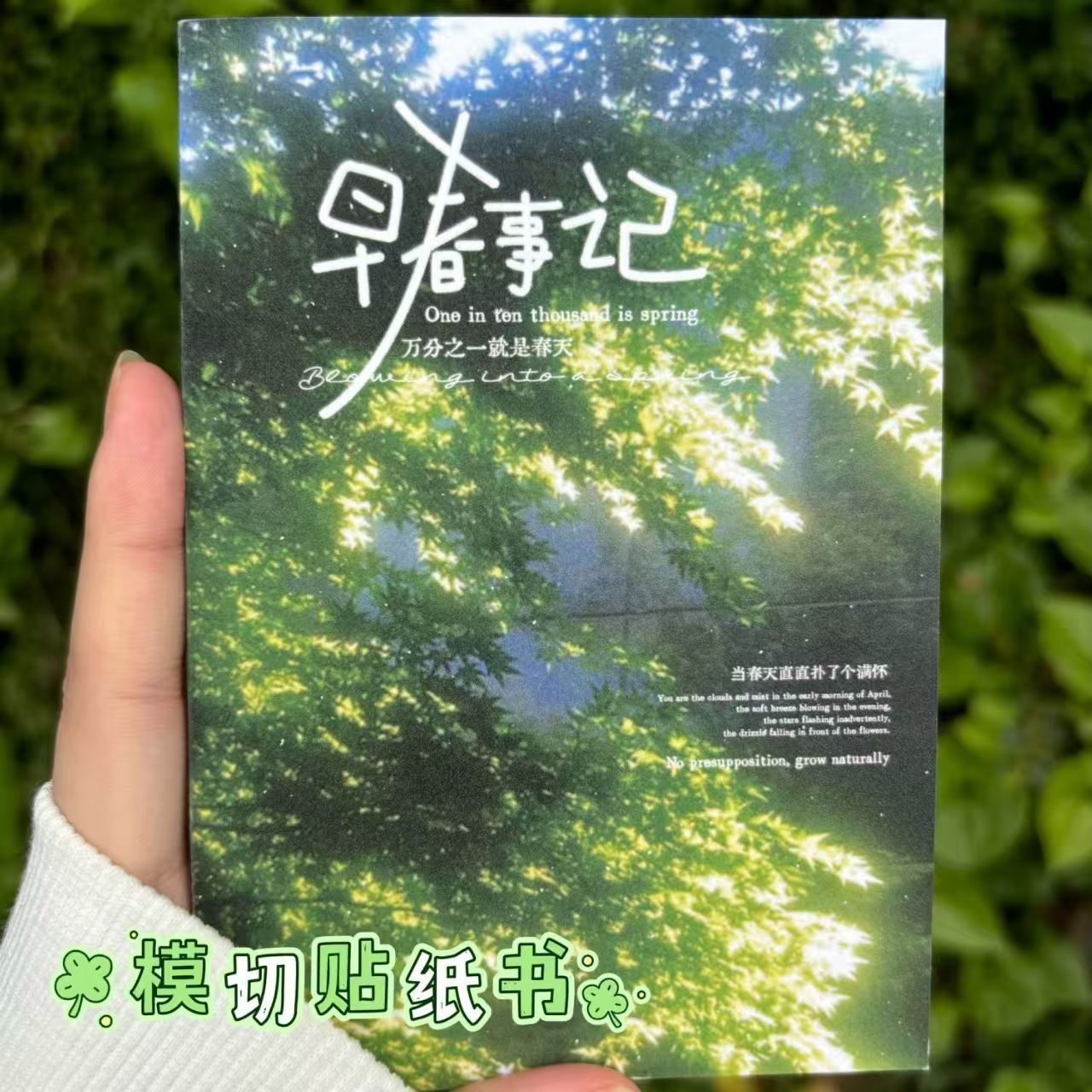 早春事记贴纸书INS小清新切膜贴纸本学生手账装饰素材DIY防水贴画