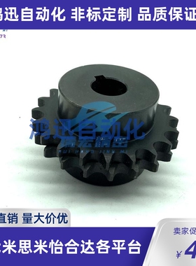 米思米BSP40B19-N-14/BSP40B19-N-20/15/16链轮40B键槽顶丝孔